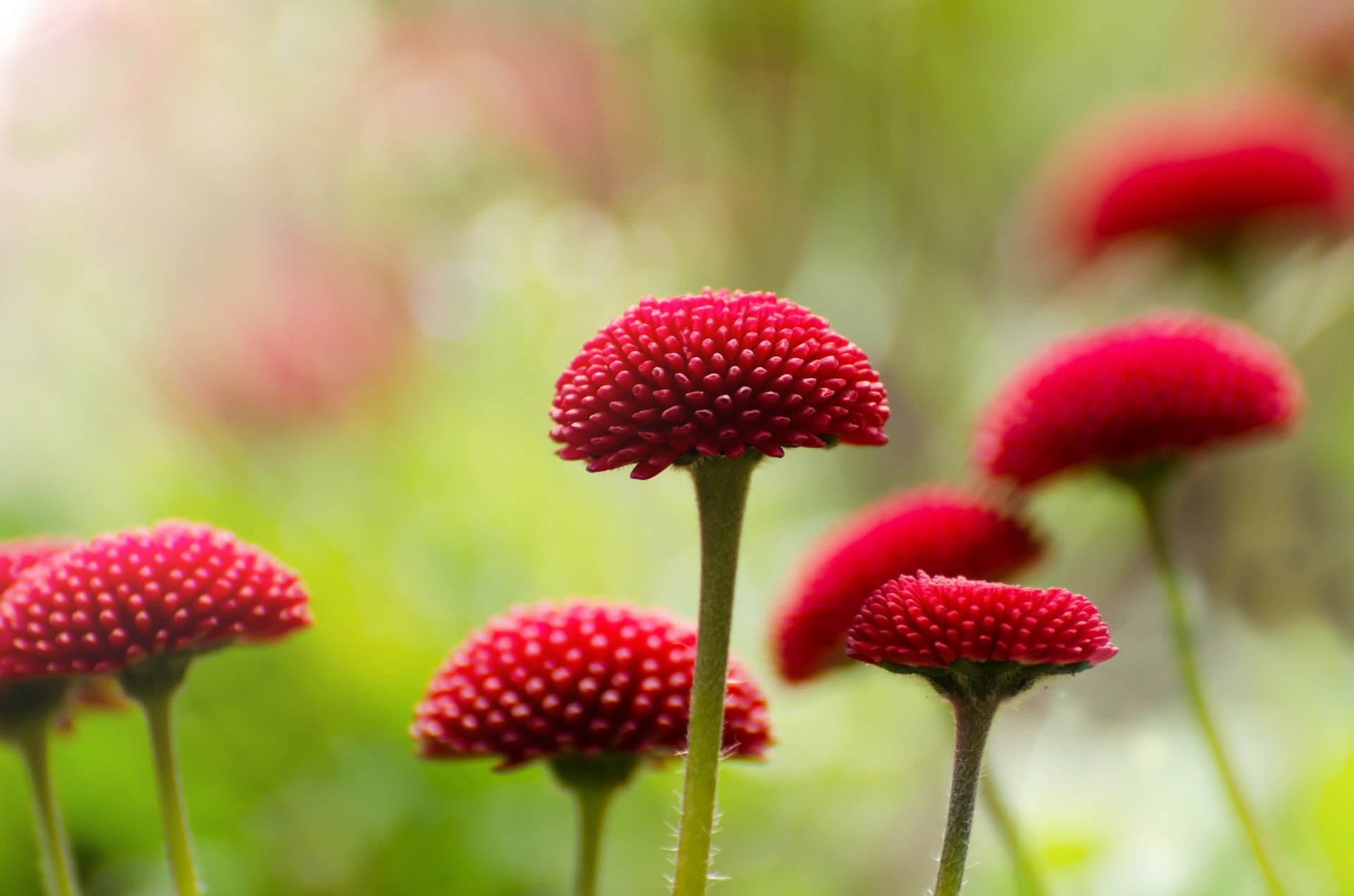 节庆活动的构成要素及策划要点